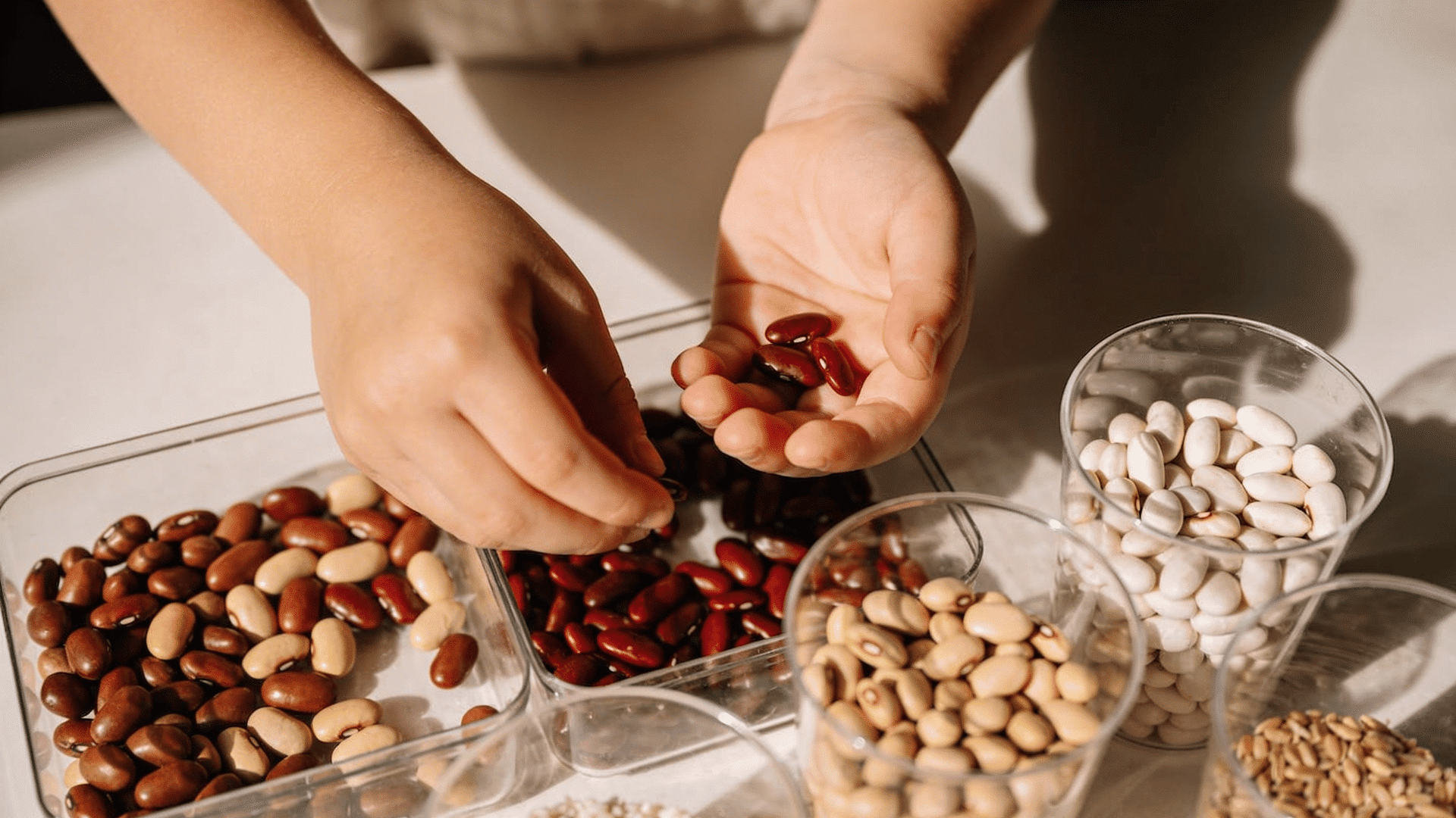 a child’s hands carefully pick up small red kidney beans and place them into clear plastic sorting containers.