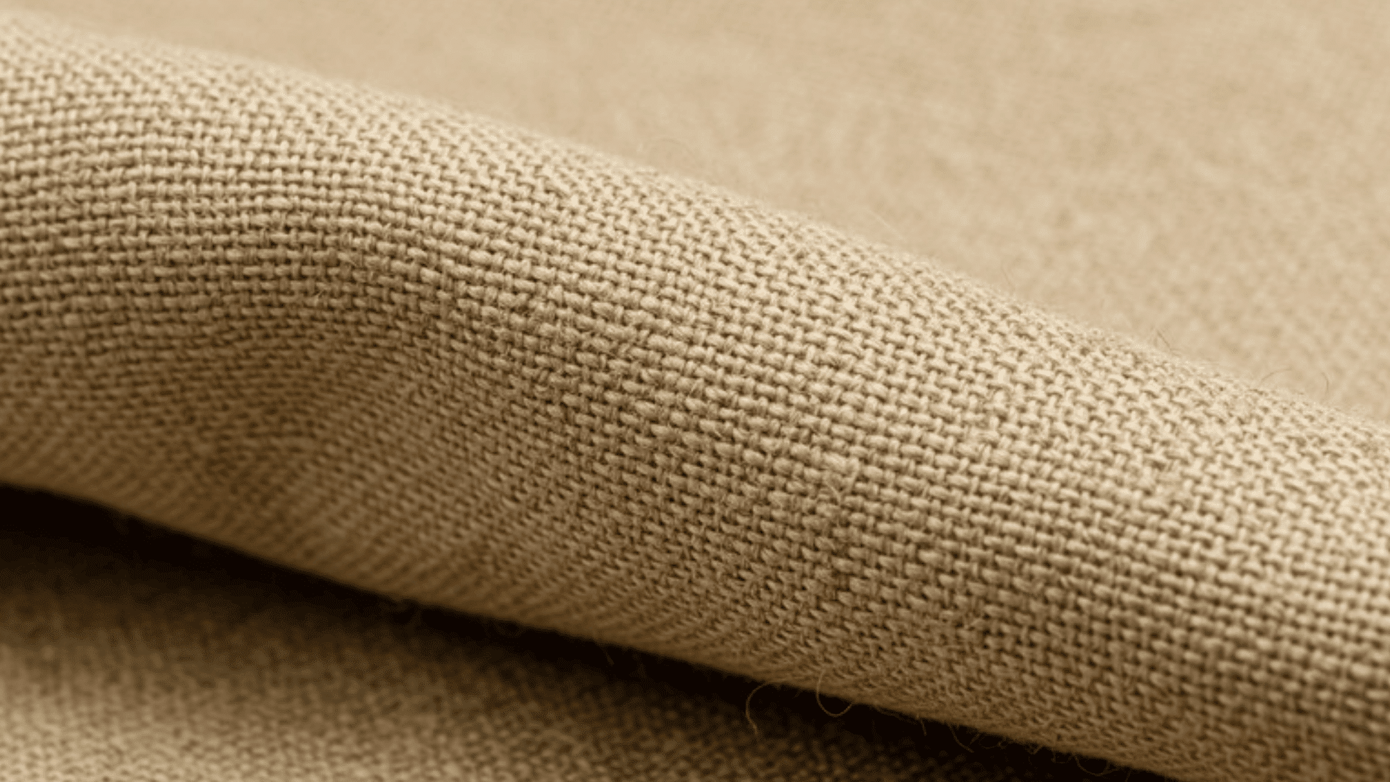 canvas fabric close-up, natural beige weave texture, visible cotton fibers, gentle folds
