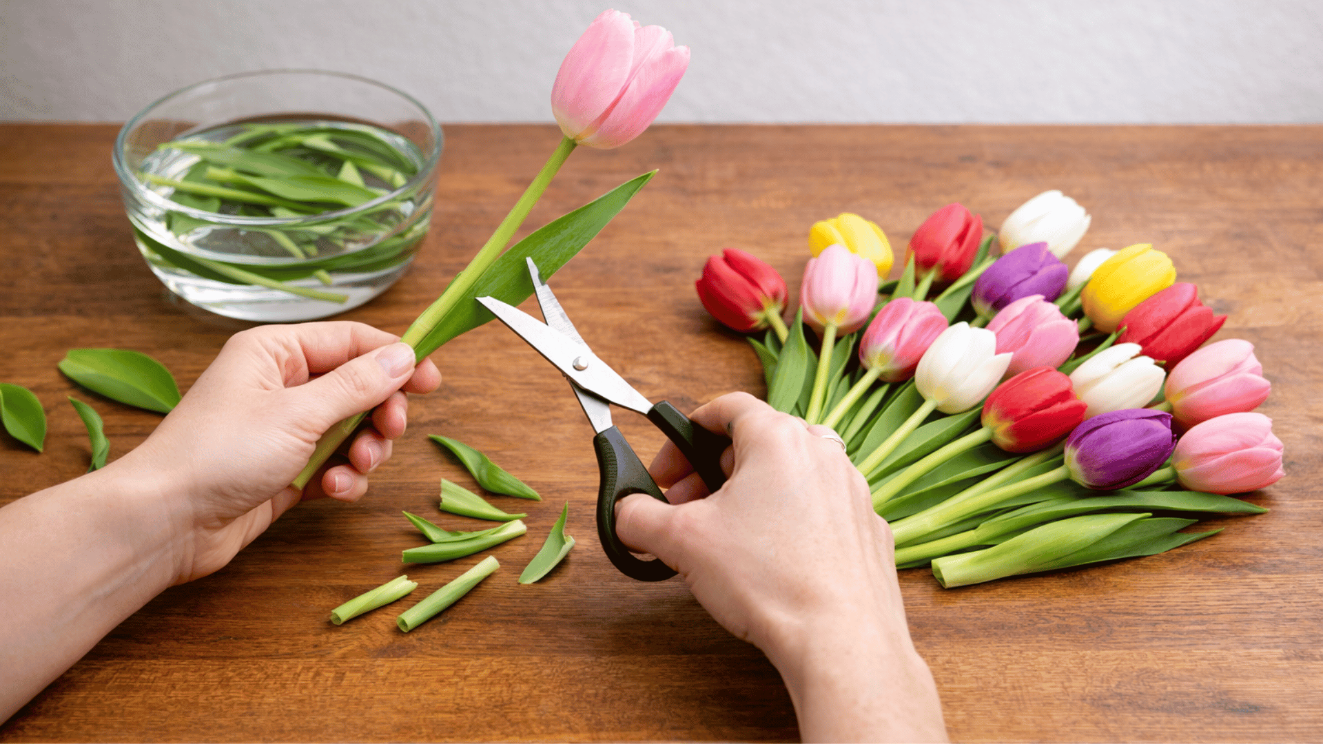 hands trimming tulip stems with scissors, removing leaves for arrangement