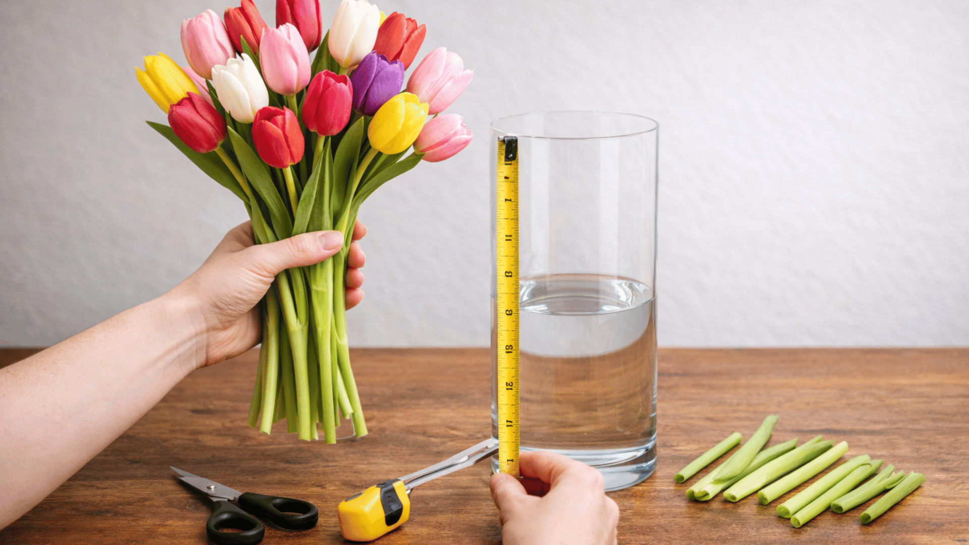 measuring tulip stems with a tape measure before arranging in a tall vase