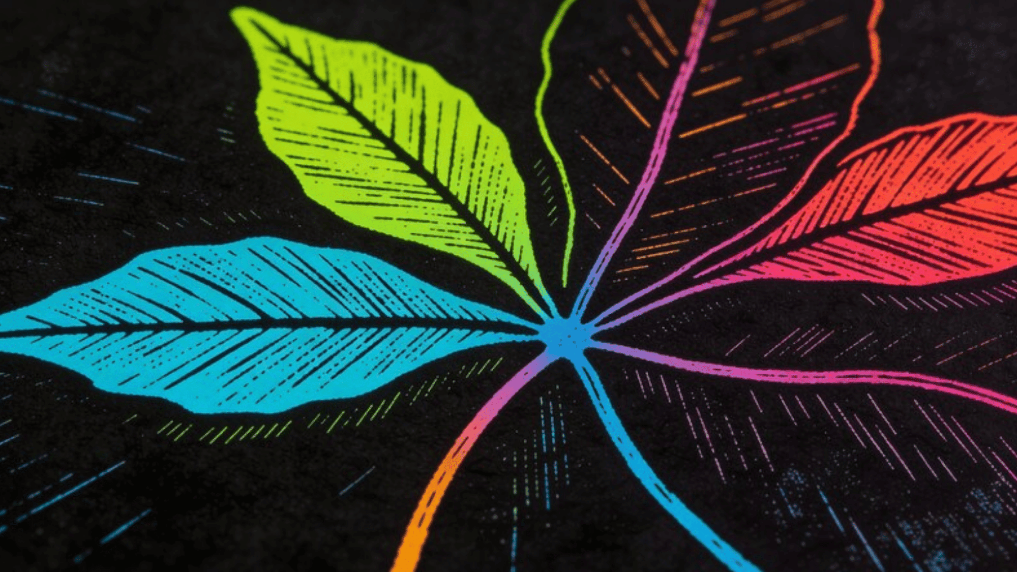 scratch art of a big colorful flower