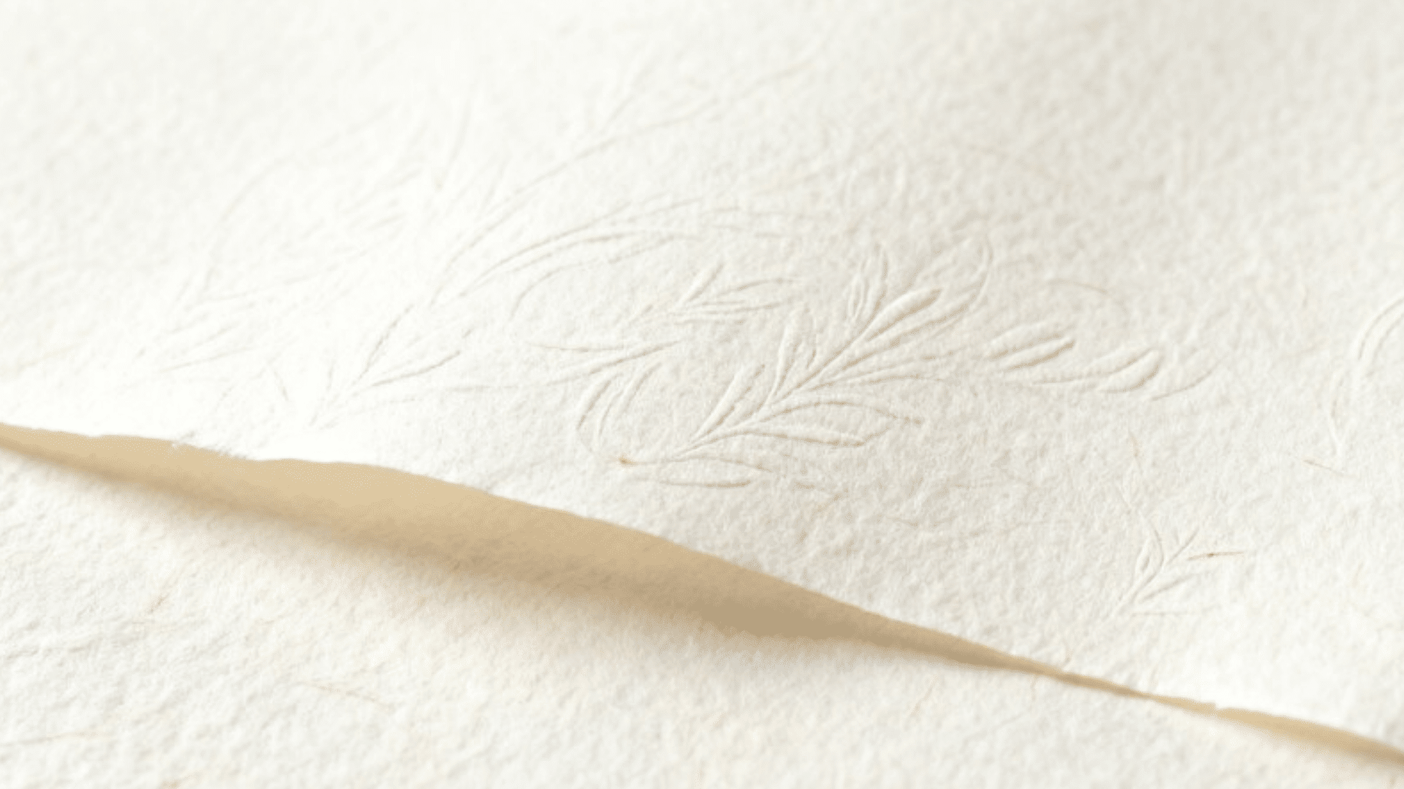 embossed textured wallpaper with subtle leaf pattern and soft cream tone, showing surface detail and paper thickness