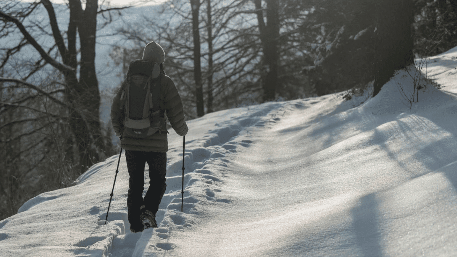 hiker in heavy winter gear walking along a snow-covered forest trail, bare trees on either side