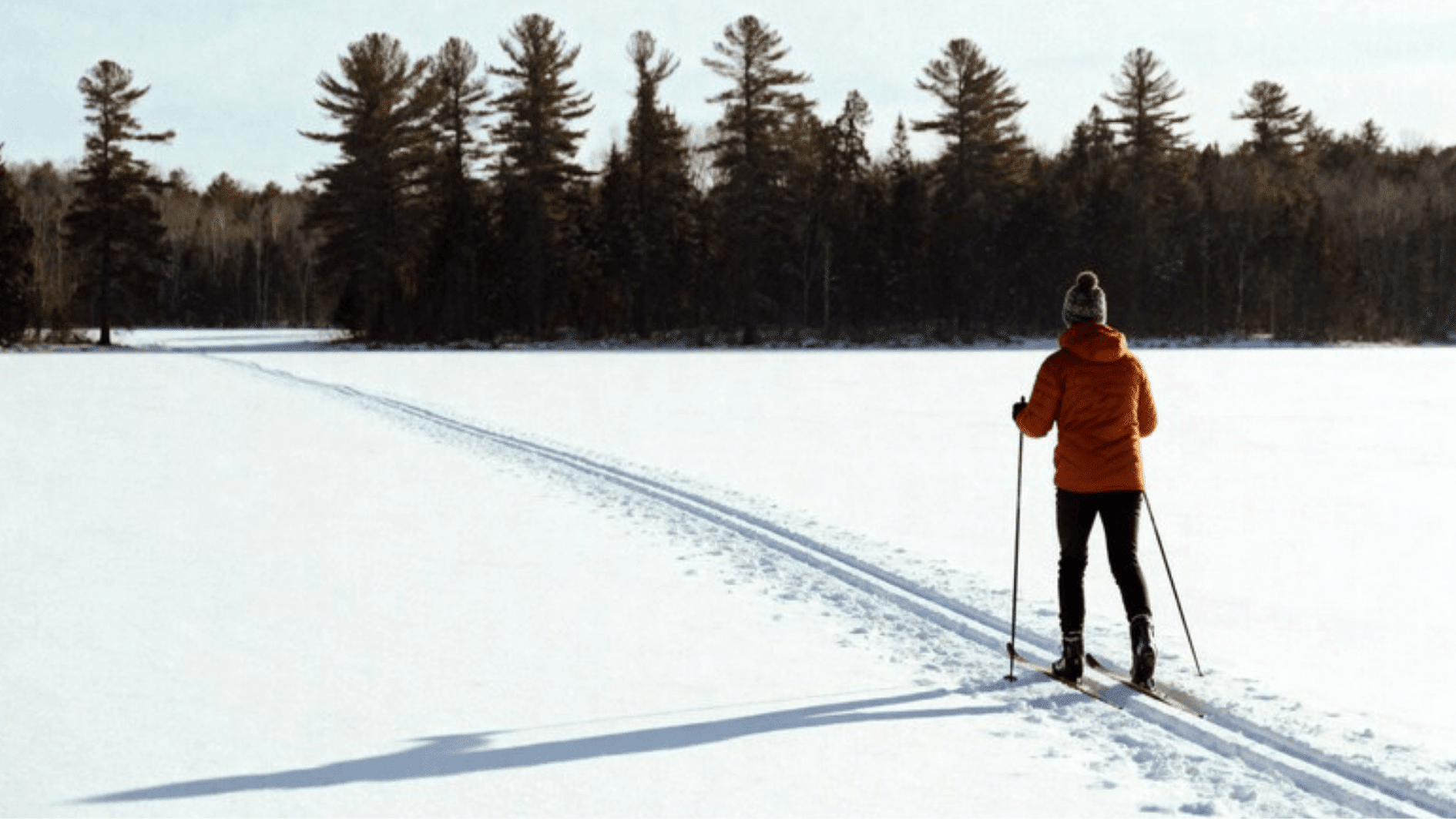 person cross-country skiing through a wide open snow-covered landscape, tall trees in the distance