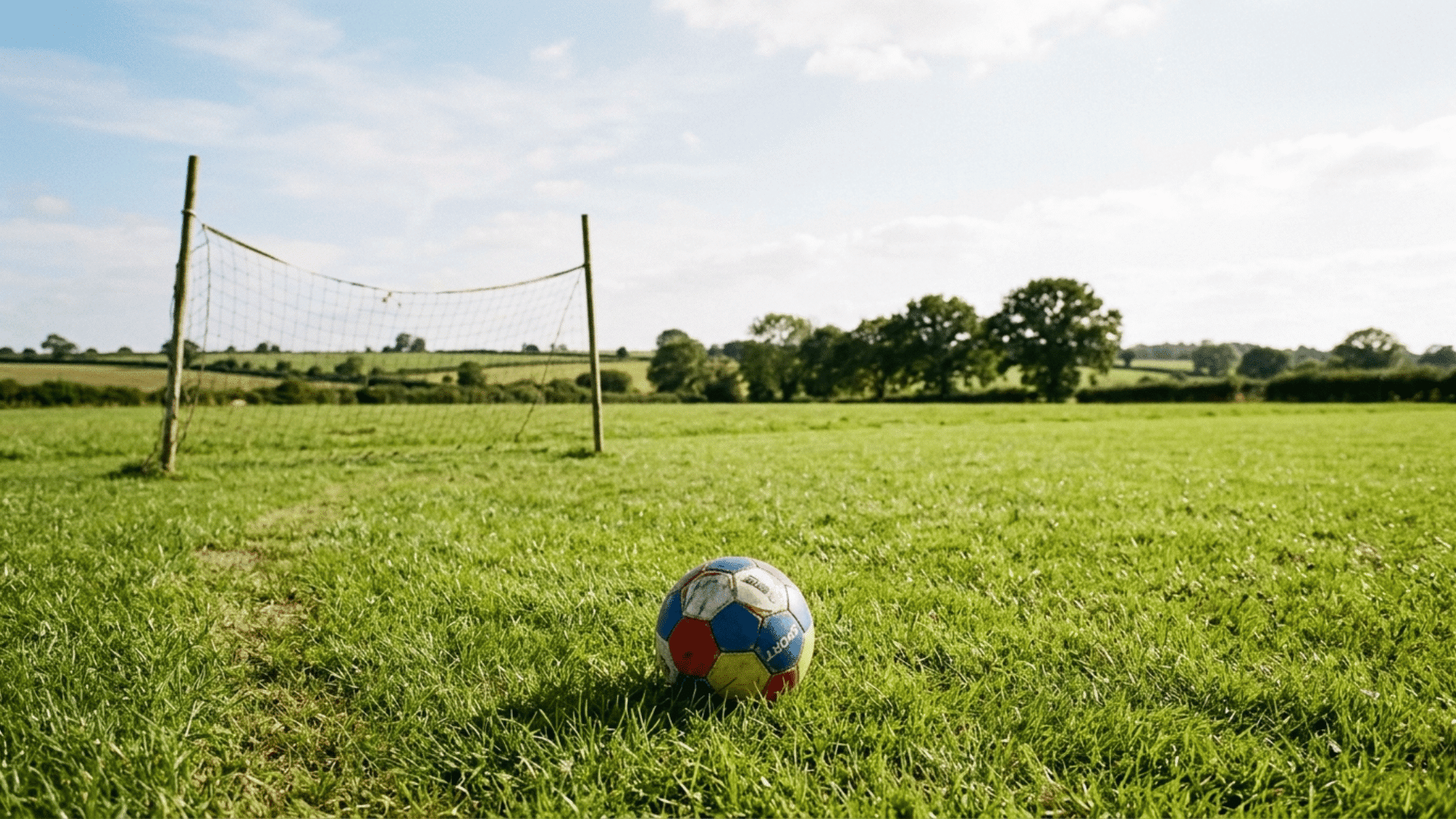 soccer ball resting on grassy field near a goalpost with open countryside and trees under a bright sky.