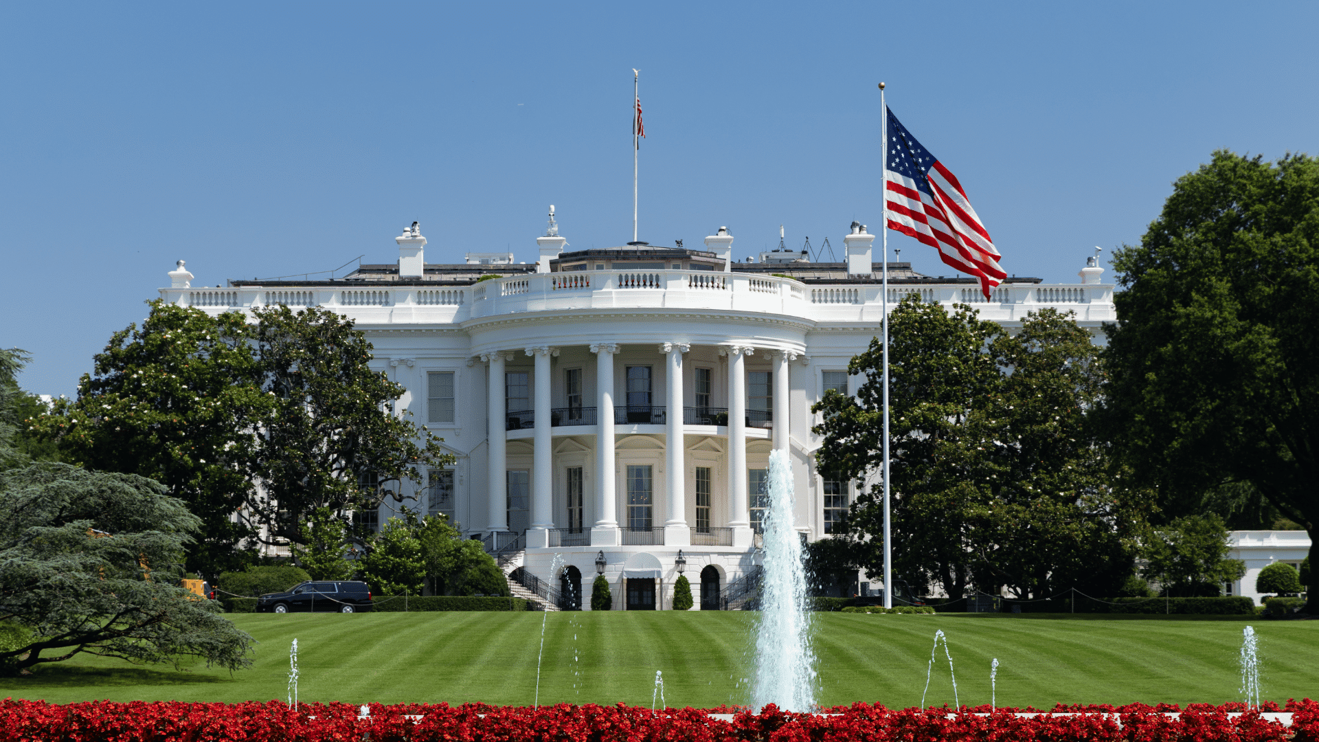 exterior view of the white house surrounded by green lawns and american flags on a clear day