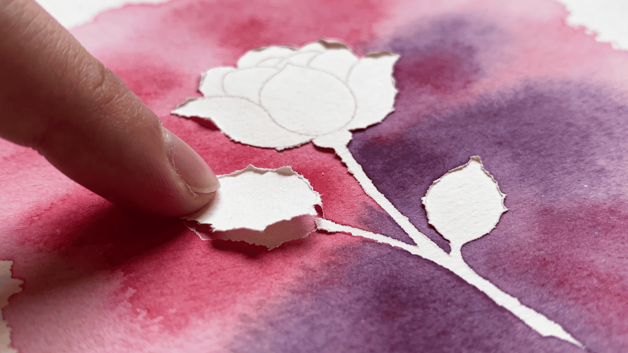 paper masking technique revealing white flower silhouette on pink and purple watercolor wash