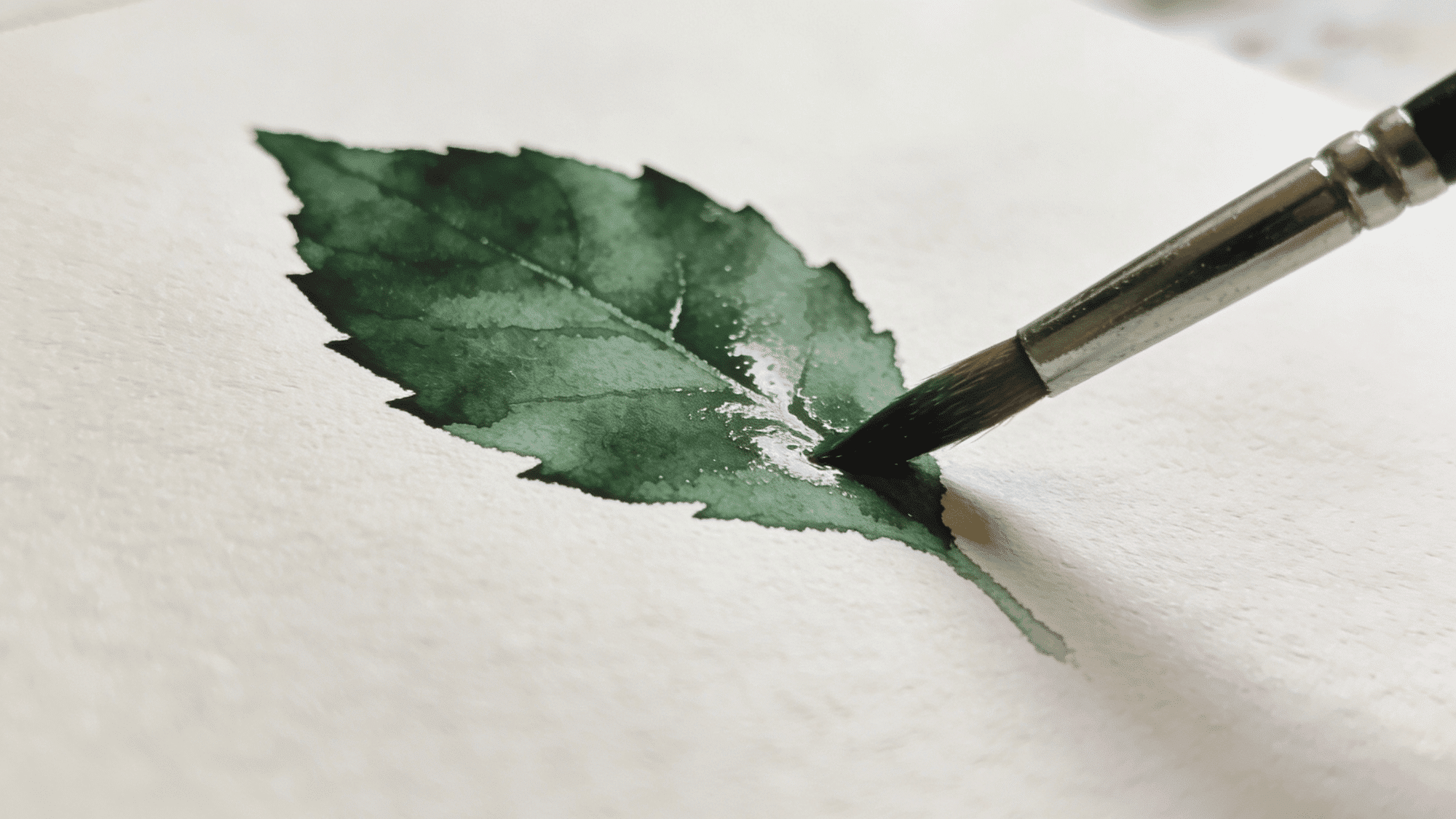 watercolor brush painting detailed green leaf illustration with wet on wet technique