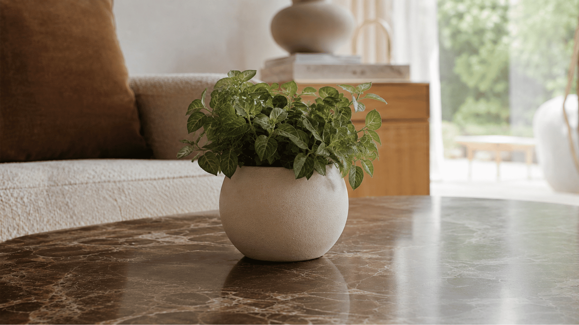 Round ceramic pot with a green indoor plant on a marble coffee table