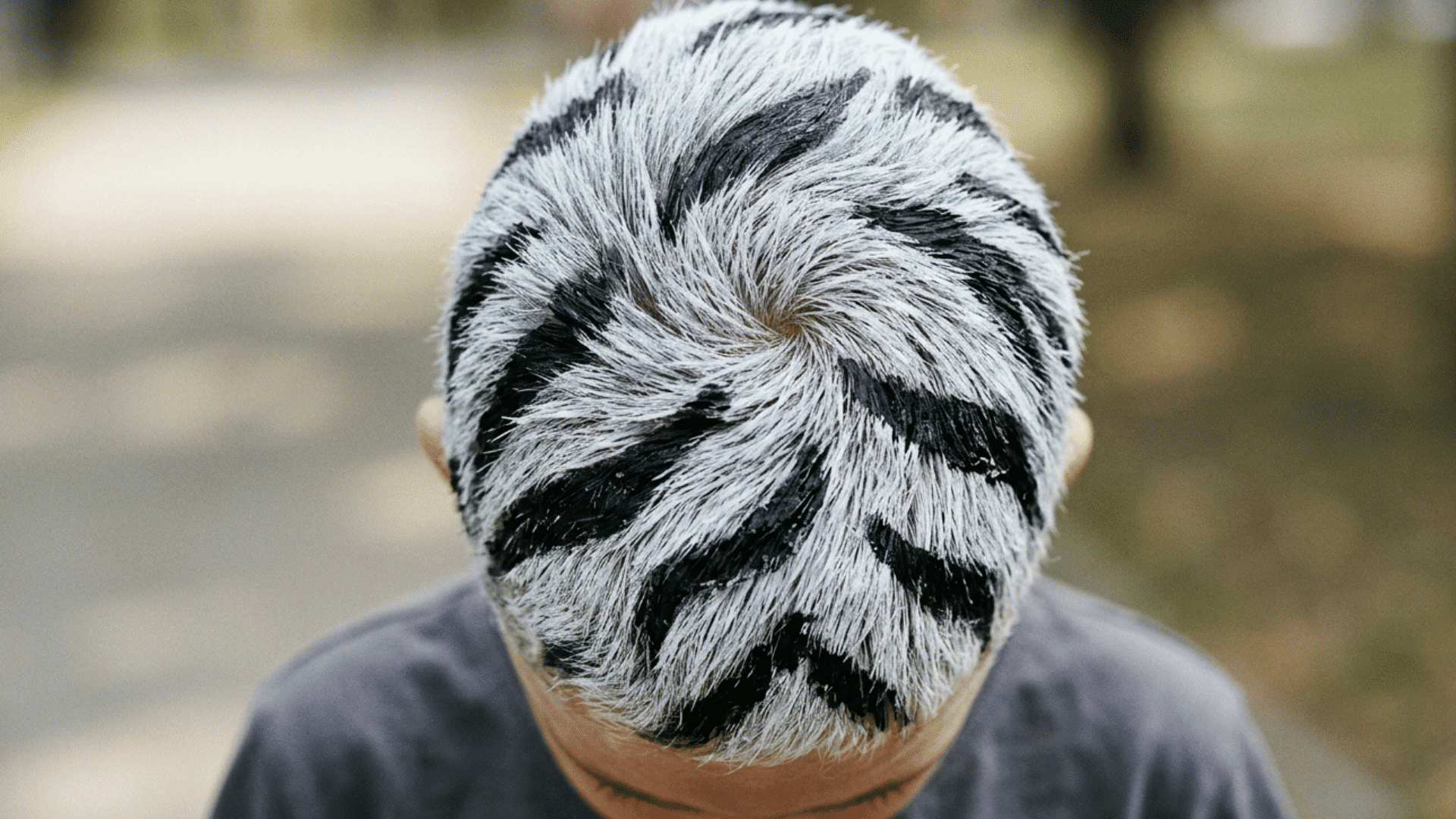 close-up of black stripes painted on white sprayed hair