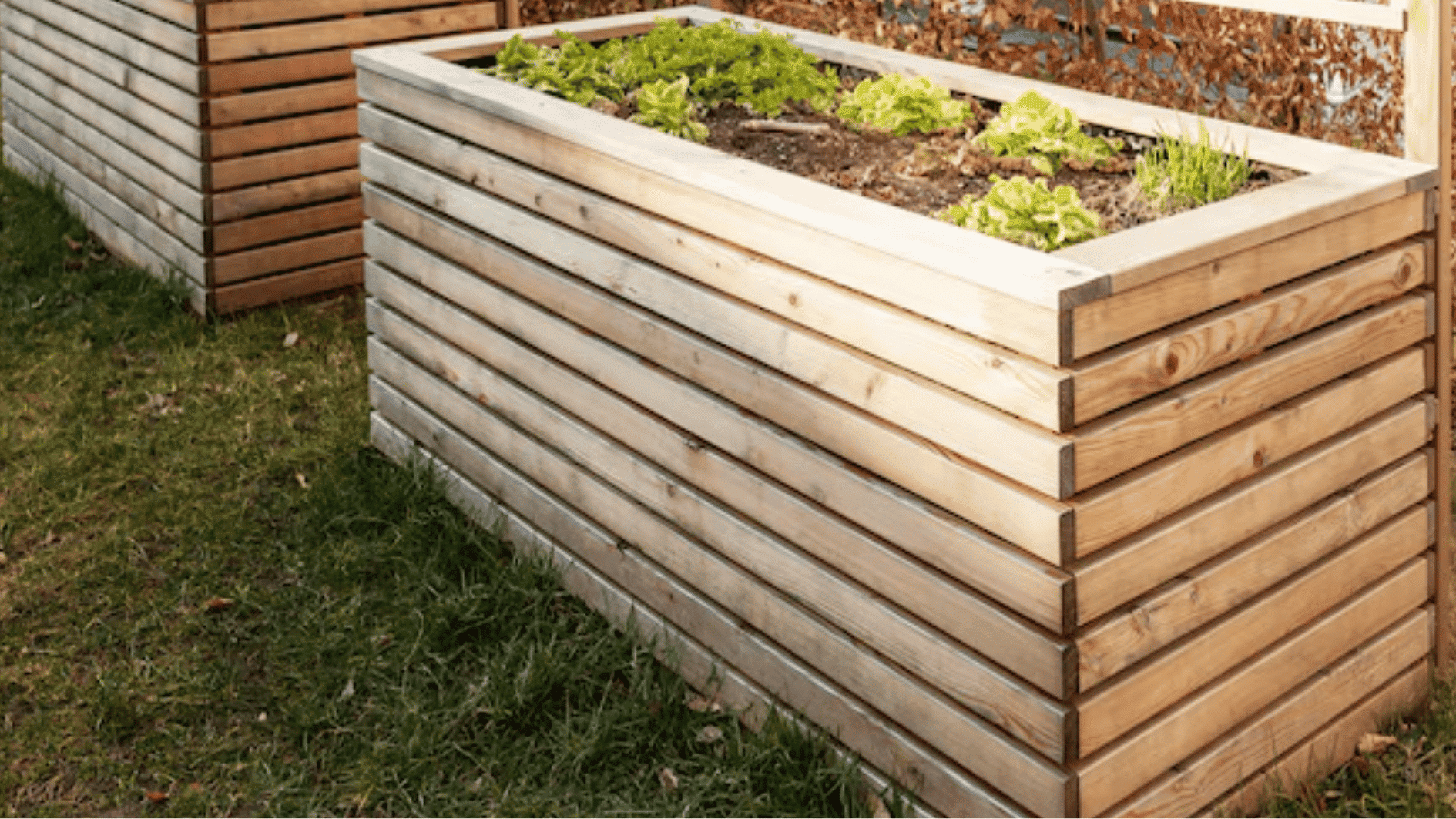 raised wooden garden planter box growing vegetables herbs and flowers