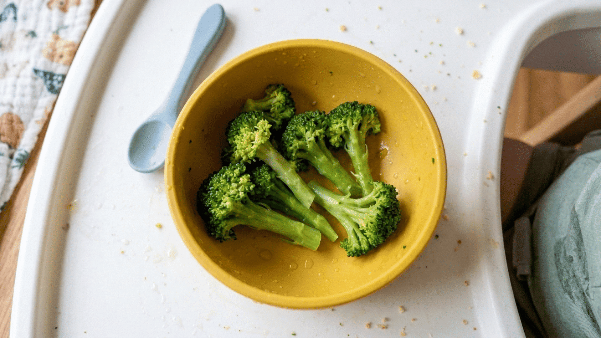 steamed broccoli florets with long stems in a yellow suction bowl for baby finger food