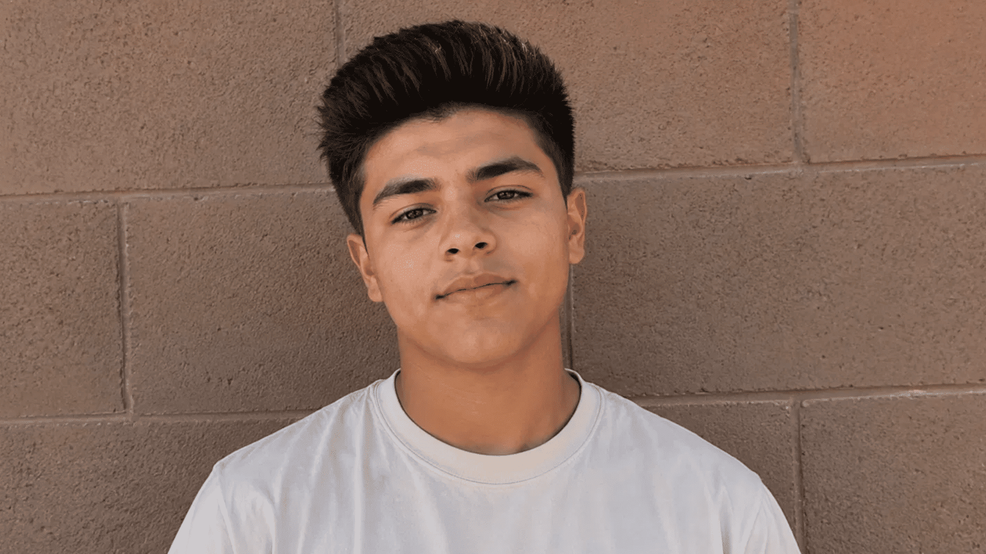 teenage boy with a voluminous quiff hairstyle and faded sides, wearing a white t-shirt against a brown brick wall