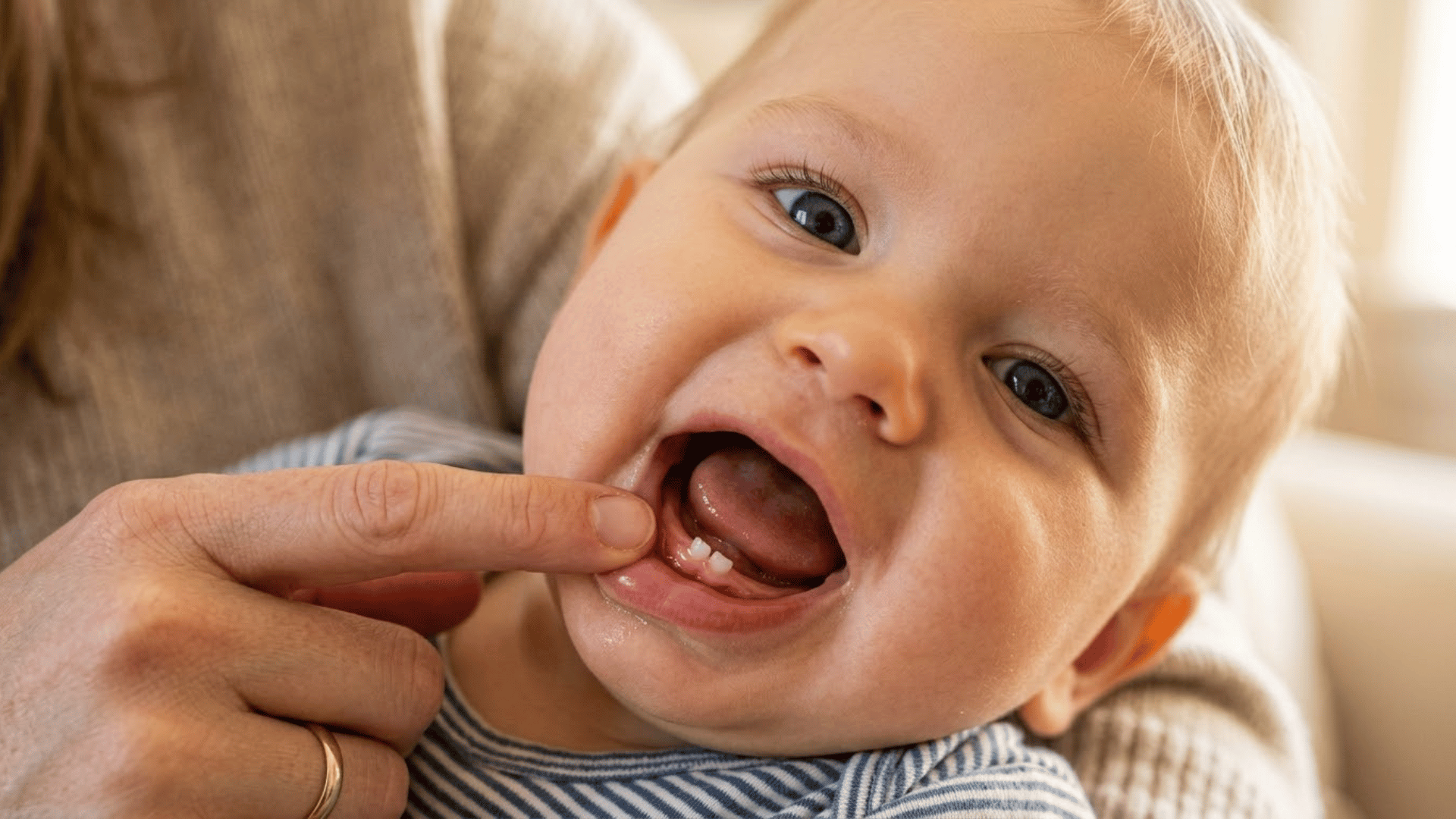 parent gently checks a smiling baby's lower gums as two small front teeth emerge during teething at home