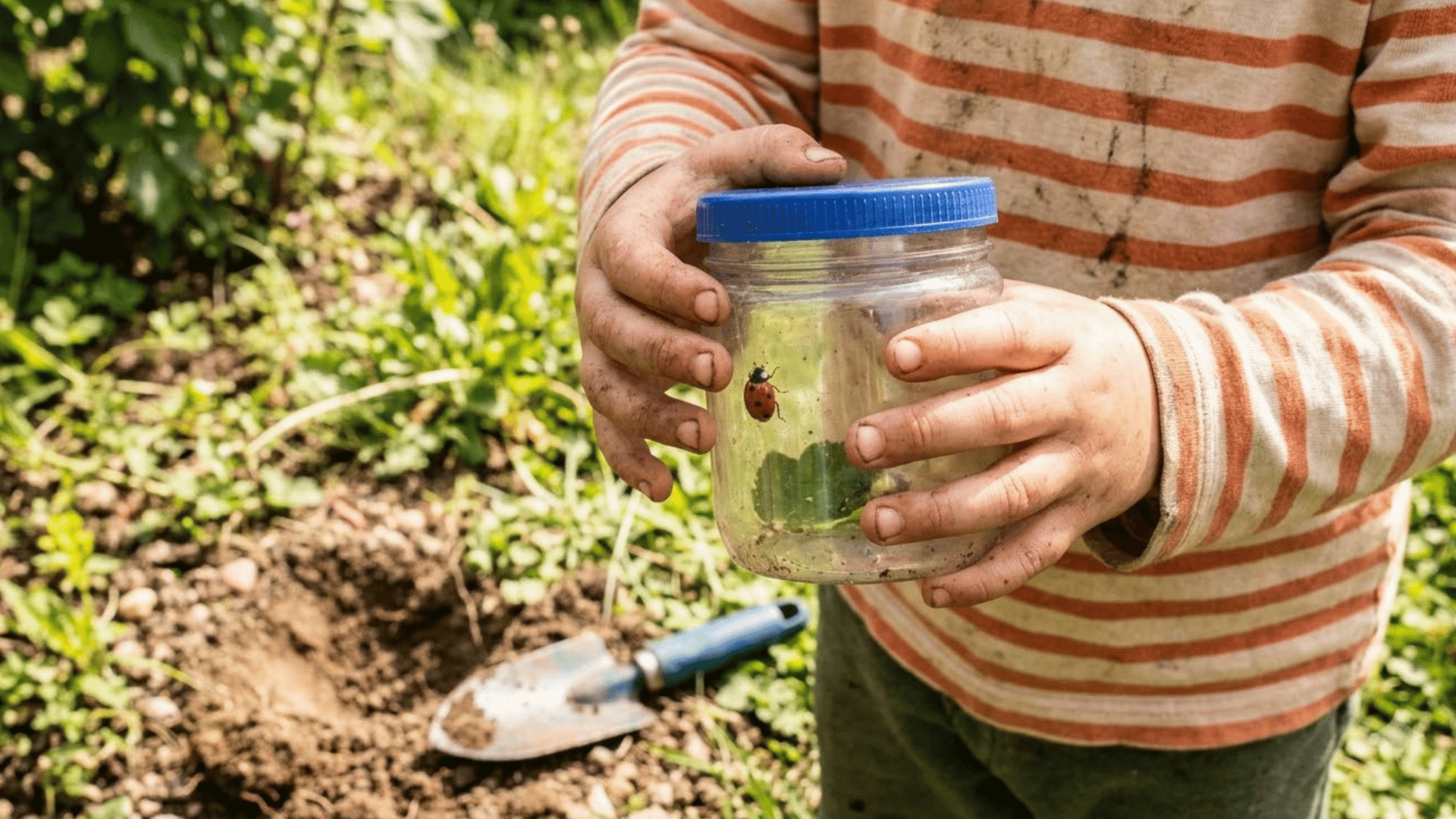 child sitting on garden soil holding clear jar with ladybug close to their face