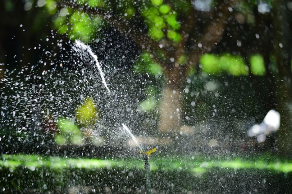 Water sprinkler spraying water droplets in a lush green garden under bright sunlight.