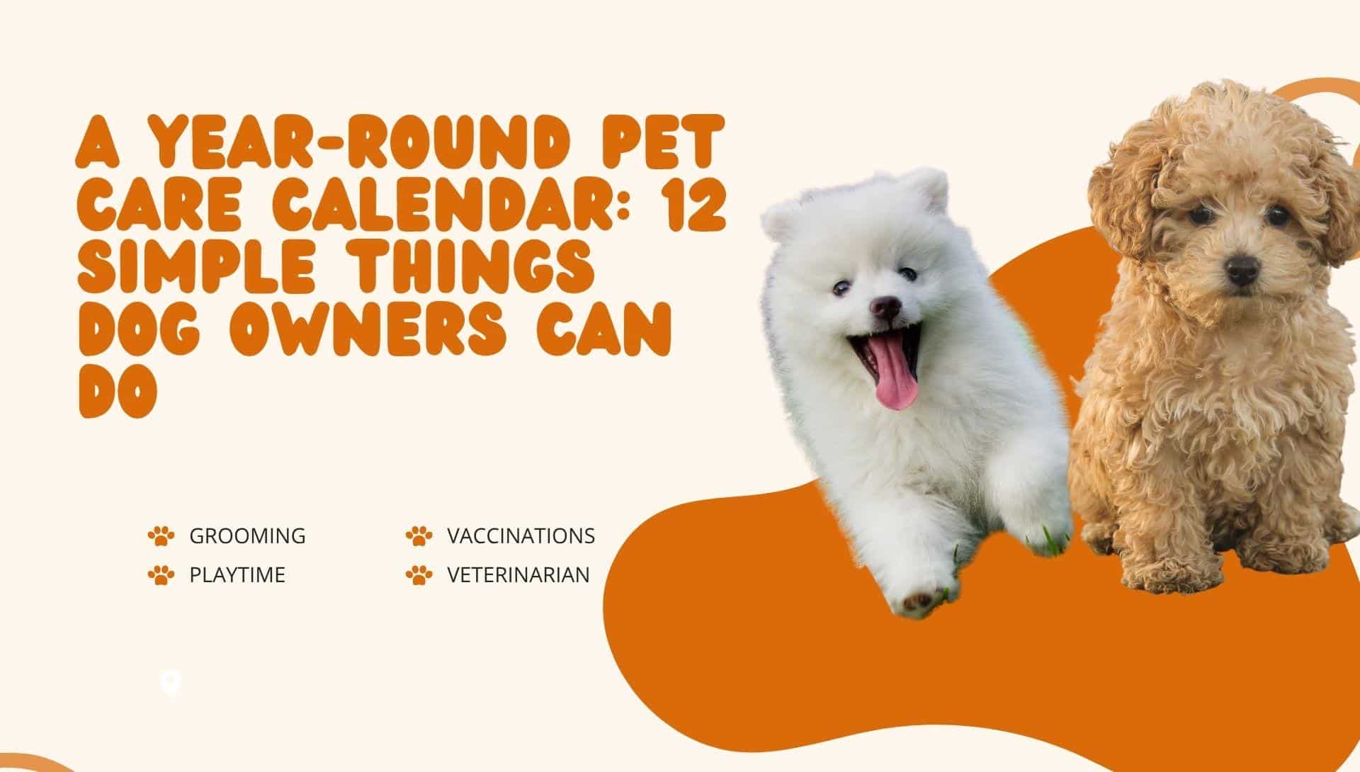 Two fluffy puppies, one white and one brown, against a light background with orange shapes
